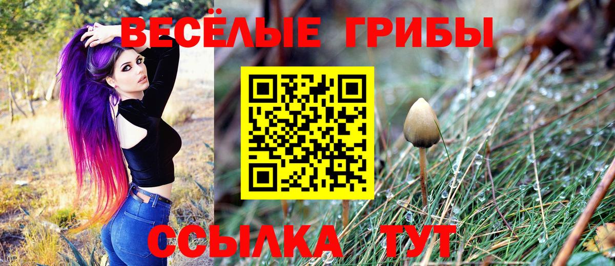 Псилоцибиновые грибы мицелий  Вход с VPN  Асино 
